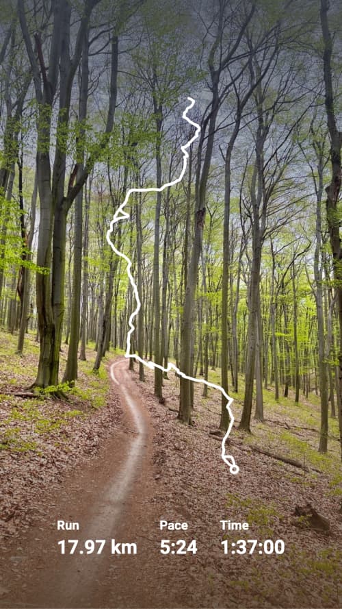 strava to instagram image 2