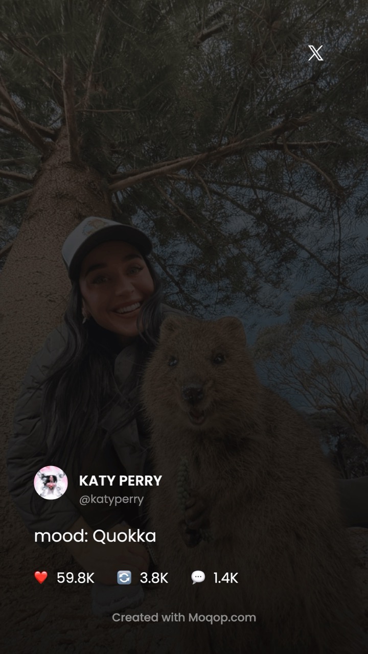 x to instagram image 2